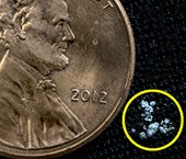 Just A Speck Can Kill You