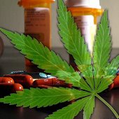 Marijuana as an alternative to pain pills