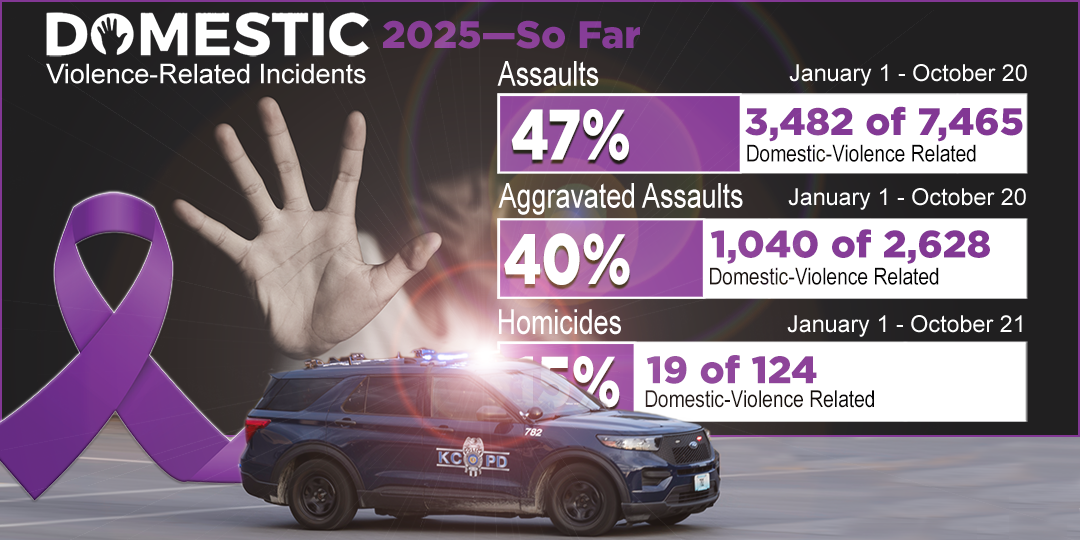 Second Deadliest Year—So Far—For Domestic Violence Since 2014